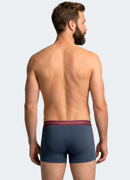 Pack de 2 boxers en coton